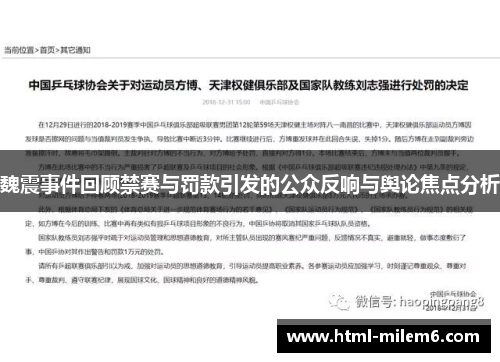 魏震事件回顾禁赛与罚款引发的公众反响与舆论焦点分析