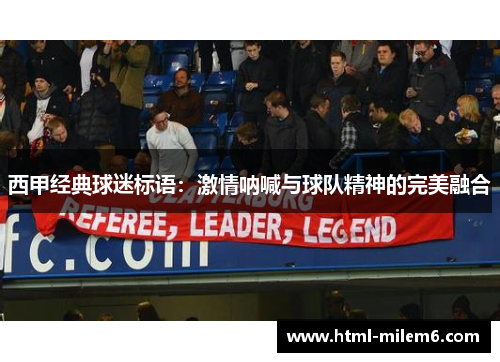 西甲经典球迷标语:激情呐喊与球队精神的完美融合 西甲经典球迷标语:激情呐喊与球队精神的完美融合
