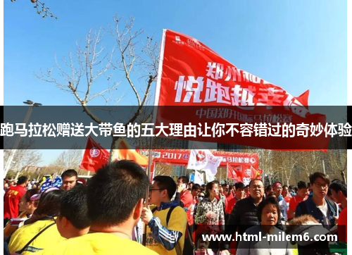 跑马拉松赠送大带鱼的五大理由让你不容错过的奇妙体验