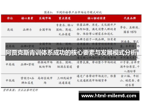 阿贾克斯青训体系成功的核心要素与发展模式分析 阿贾克斯青训体系成功的核心要素与发展模式分析