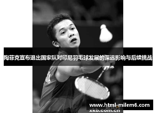 陶菲克宣布退出国家队对印尼羽毛球发展的深远影响与后续挑战 陶菲克宣布退出国家队对印尼羽毛球发展的深远影响与后续挑战