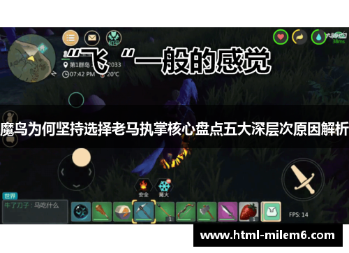 魔鸟为何坚持选择老马执掌核心盘点五大深层次原因解析